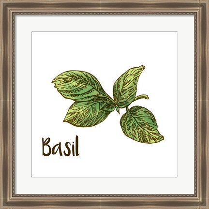 Framed Basil Print