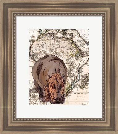 Framed African Hippo Print