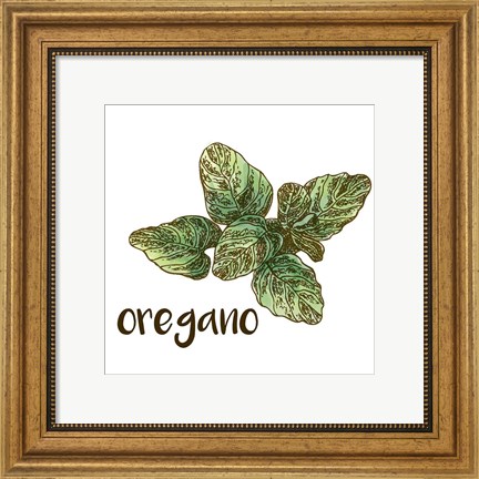 Framed Oregano Print