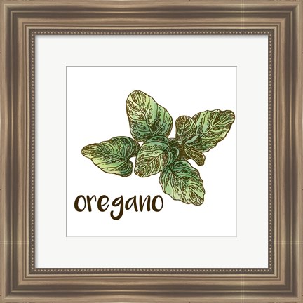 Framed Oregano Print