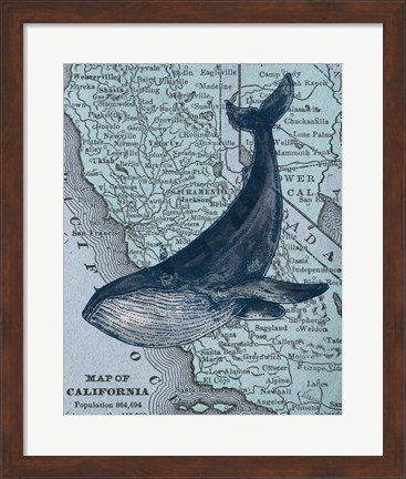 Framed California&#39;s Grayback Whale Print