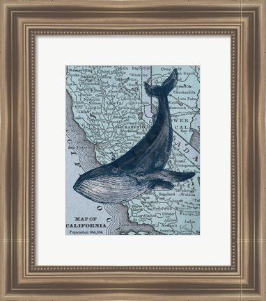 Framed California&#39;s Grayback Whale Print