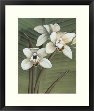 Framed Orchid with Palm I Print