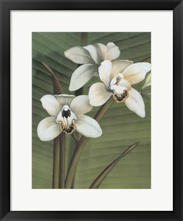 Framed Orchid with Palm I Print