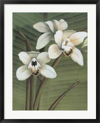 Framed Orchid with Palm I Print