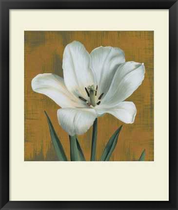 Framed Tulipano Print