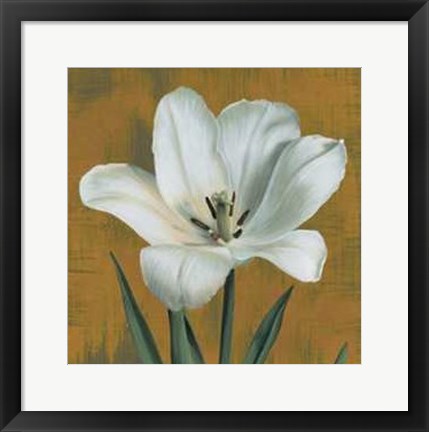 Framed Tulipano Print