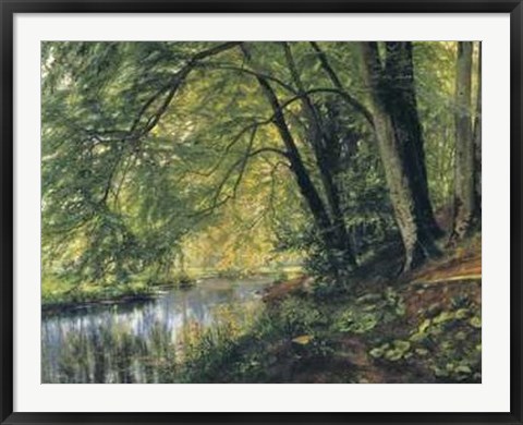 Framed River Through the Woods Print