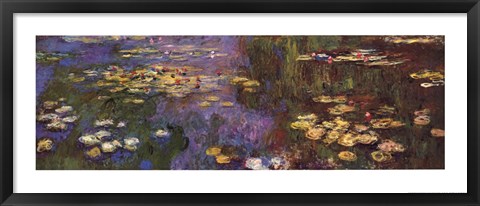 Framed Waterlilies Print