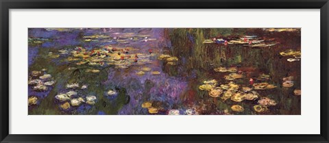 Framed Waterlilies Print