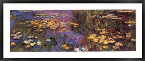 Framed Nympheas (Water Lilies) Print