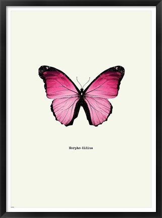 Framed Pink Butterfly Print