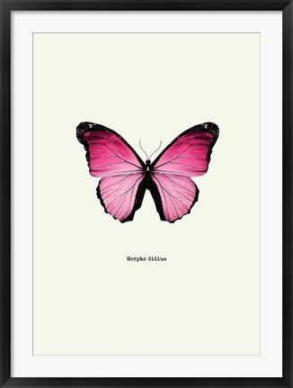 Framed Pink Butterfly Print