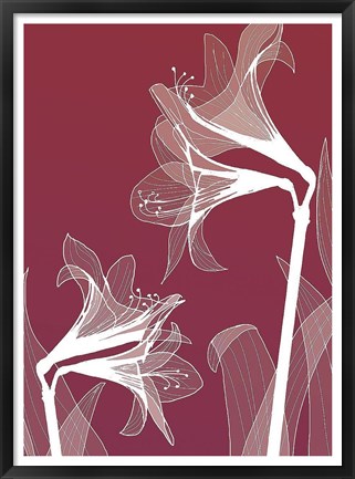 Framed X-ray Flowers Red Print