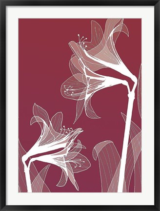 Framed X-ray Flowers Red Print