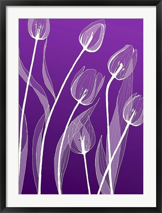 Framed X-ray Flowers Purple Print