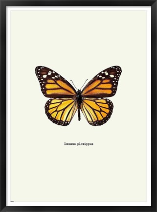 Framed Yellow Butterfly Print