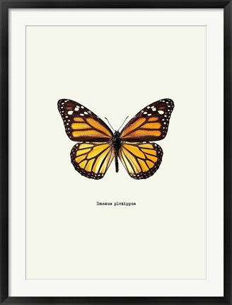 Framed Yellow Butterfly Print