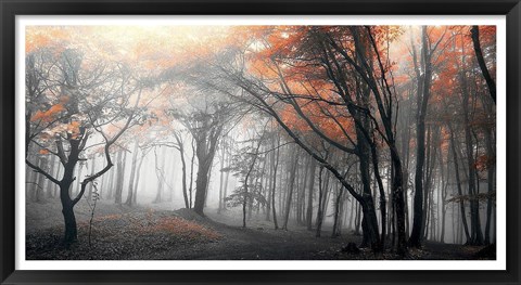 Framed Autumn Woods 1 Print