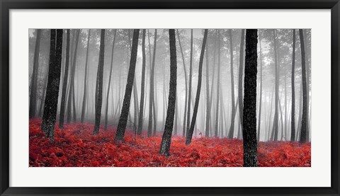 Framed Autumn Woods 2 Print