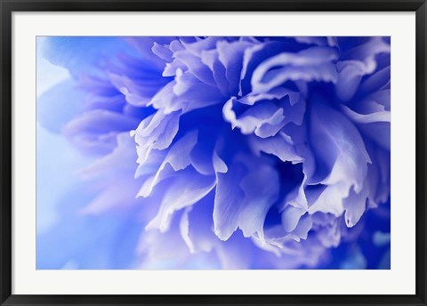 Framed Blue Flower Print