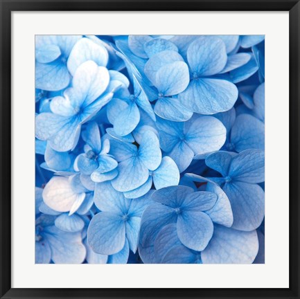 Framed Blue Flowers Print