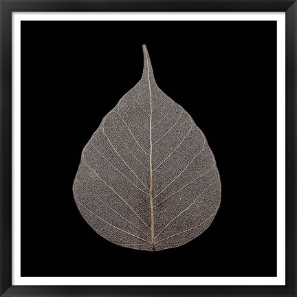 Framed Brown Leaf Print