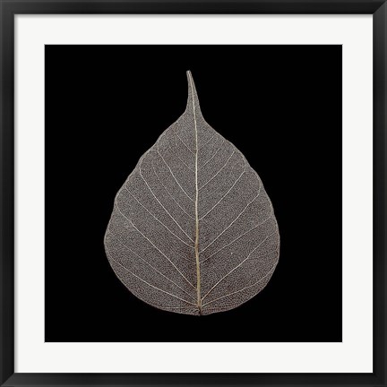 Framed Brown Leaf Print