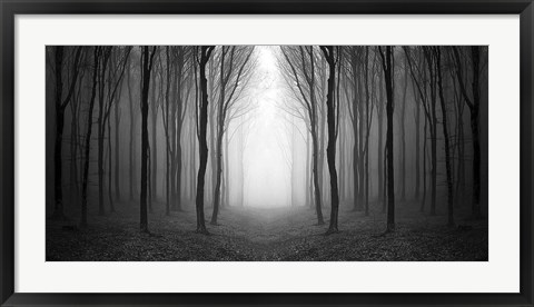 Framed Dark Woods Print