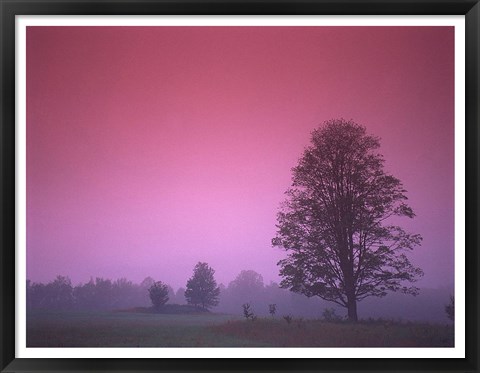 Framed Evening Fields Print