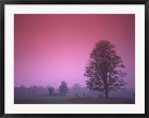 Framed Evening Fields Print