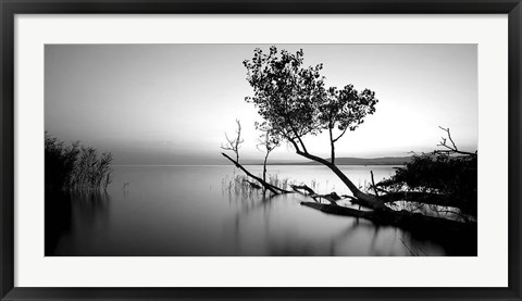 Framed Great Lake Print