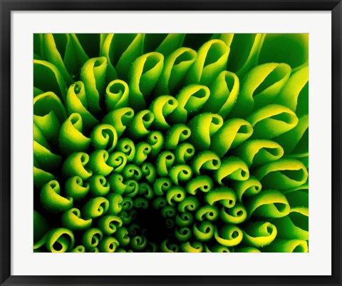 Framed Green Design 1 Print