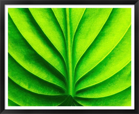 Framed Green Design 2 Print