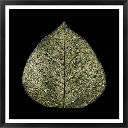 Framed Green Leaf Print