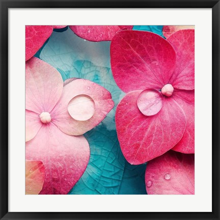 Framed Pink Flowers 3 Print