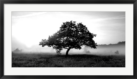 Framed Solemn Tree Print