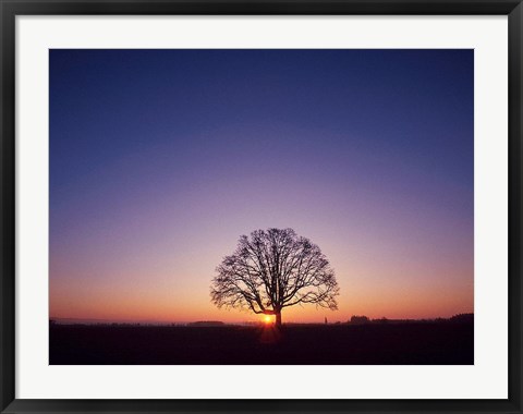 Framed Sundown Print