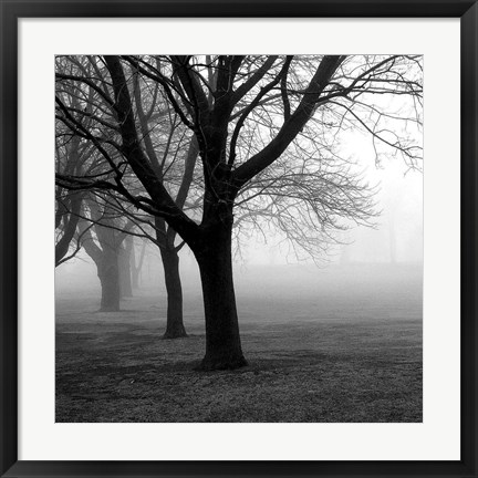 Framed Trees Print