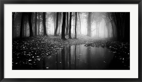 Framed Woods 2 Print