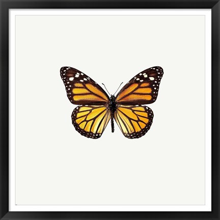 Framed Yellow Butterfly 2 Print