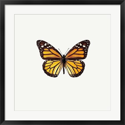 Framed Yellow Butterfly 2 Print