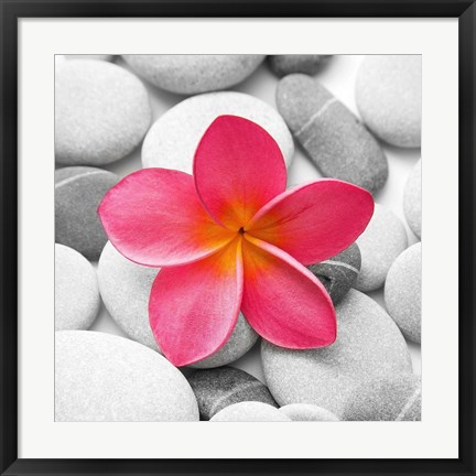 Framed Zen Flower Print