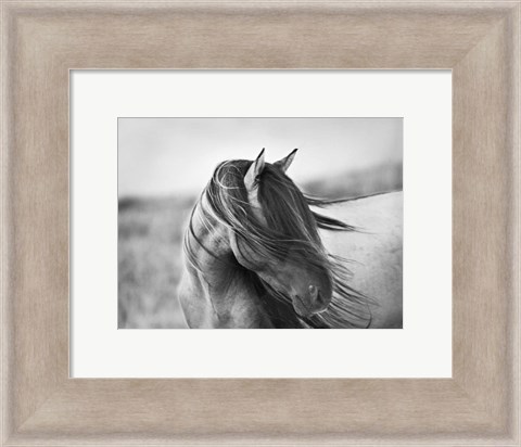 Framed Fierce Grace Print