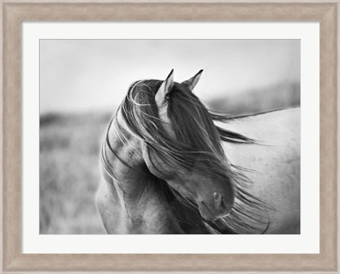 Framed Fierce Grace Print