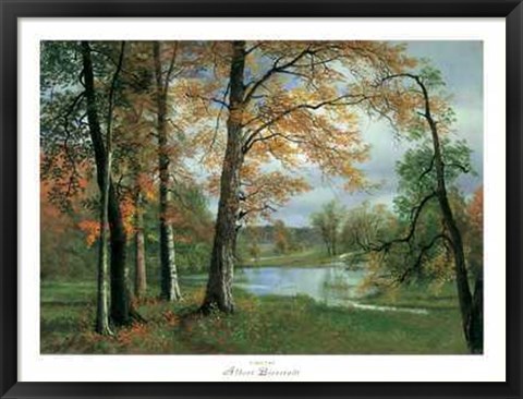 Framed Quiet Pond Print