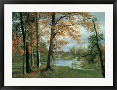 Framed Quiet Pond Print