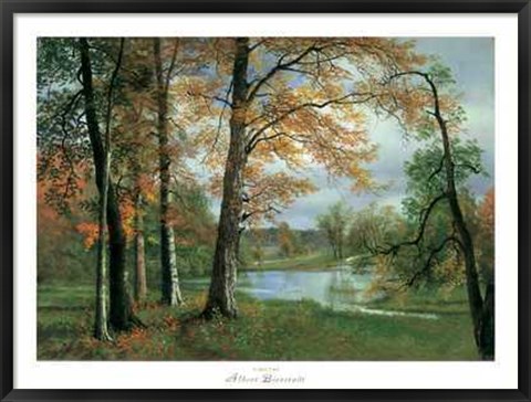 Framed Quiet Pond Print