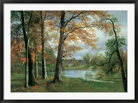 Framed Quiet Pond Print