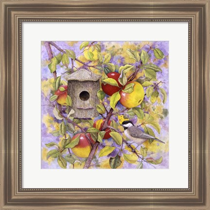 Framed Chickadee &amp; Apples Print